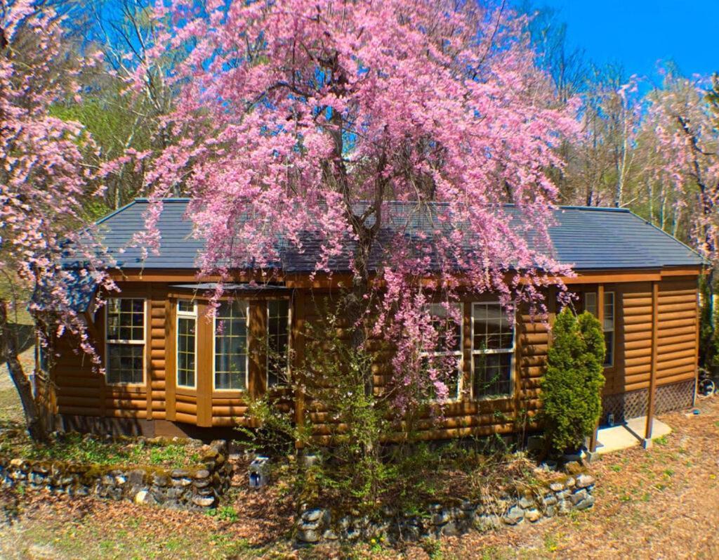 Hakuba Canadian Lodge Exterior foto